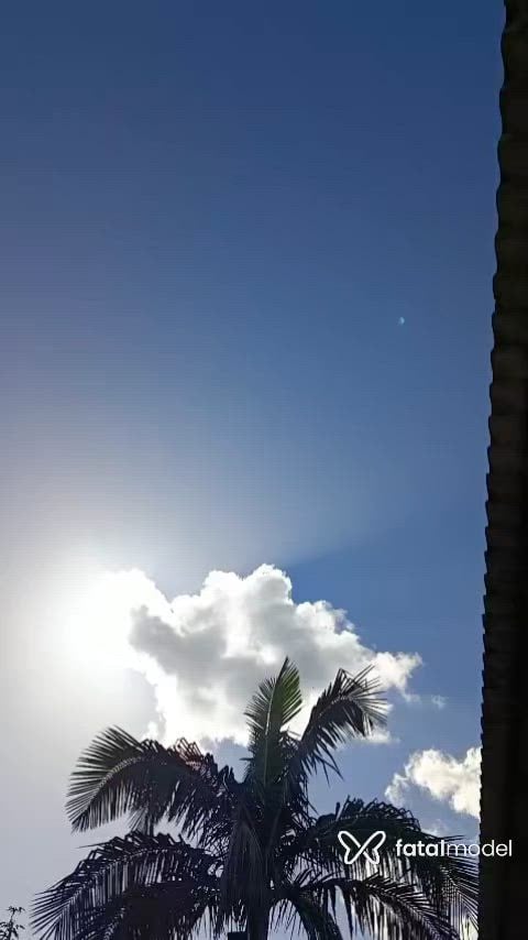 Vídeo 5