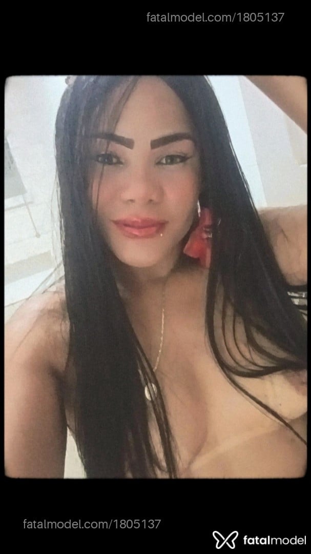 Imagem 11