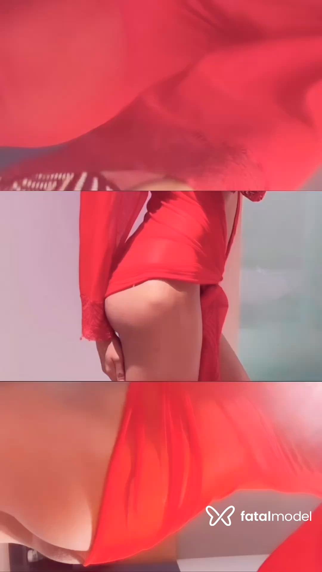 Vídeo 12
