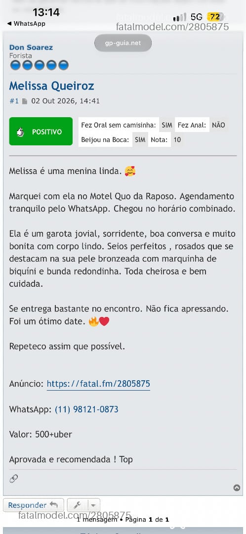 Imagem 12