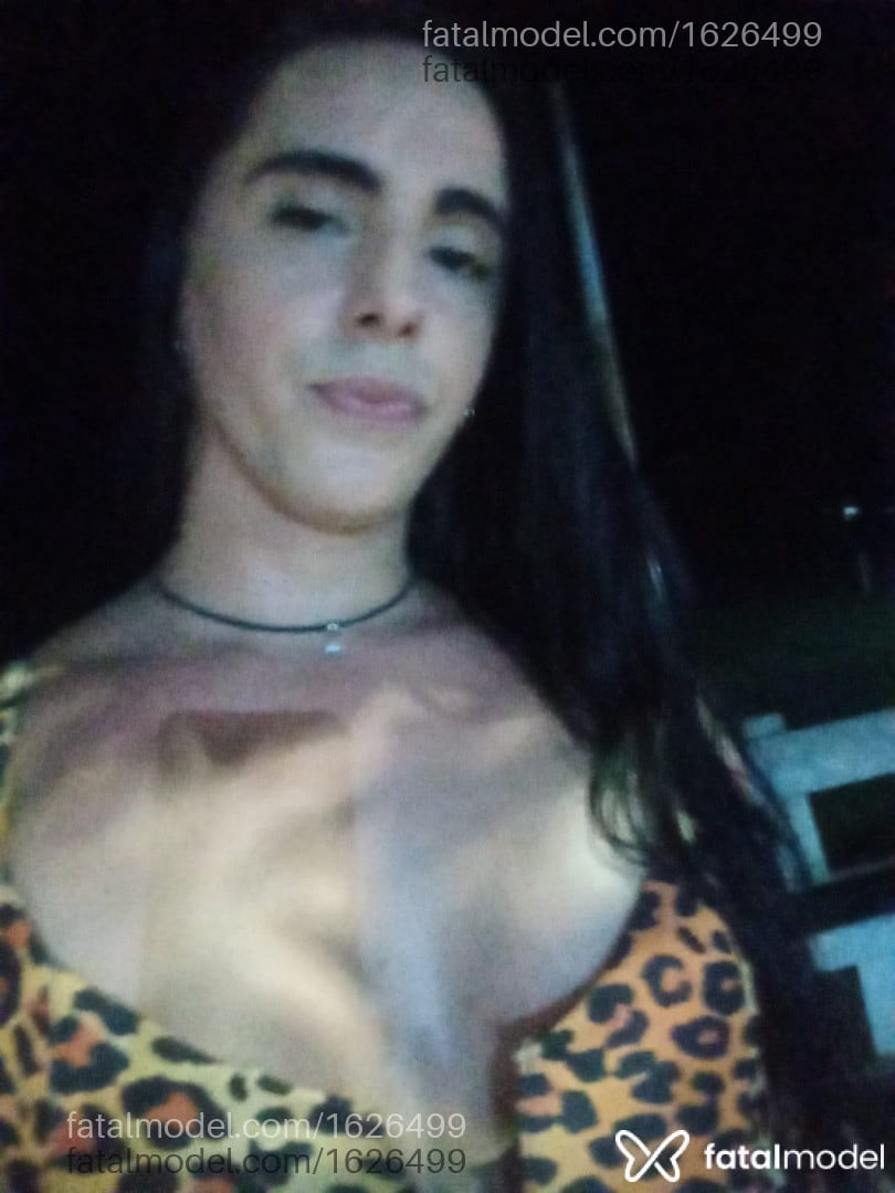 Imagem 6