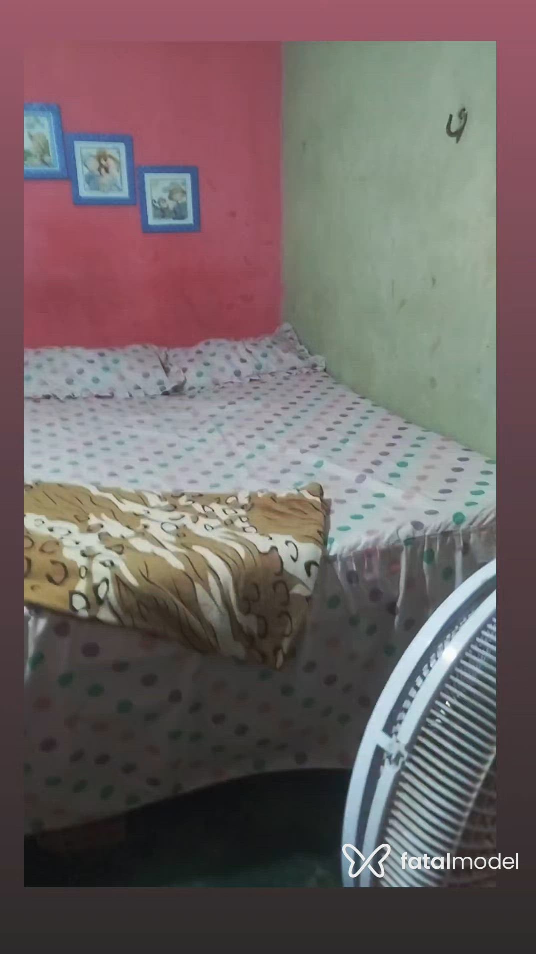 Vídeo 3