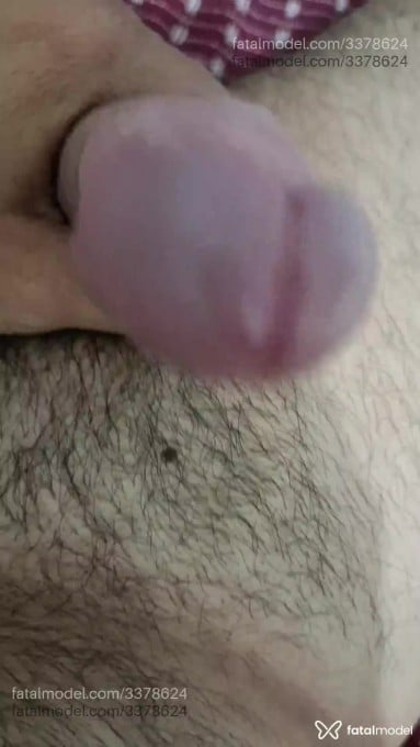 Acompanhante homem morena (o) de olhos mel em João Pessoa Acompanhante homem morena (o) de olhos mel em João Pessoa - Kayo