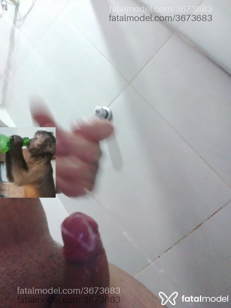 Imagem 2