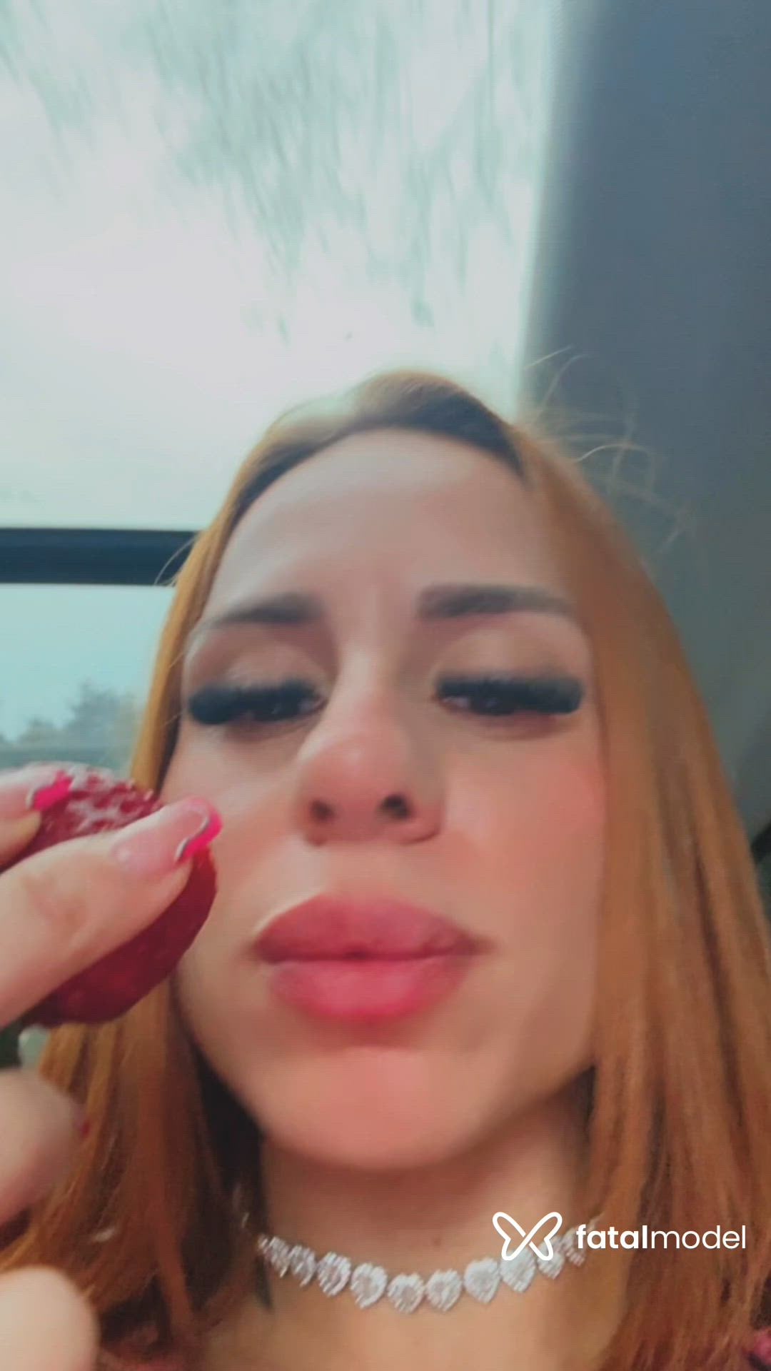 Vídeo 6