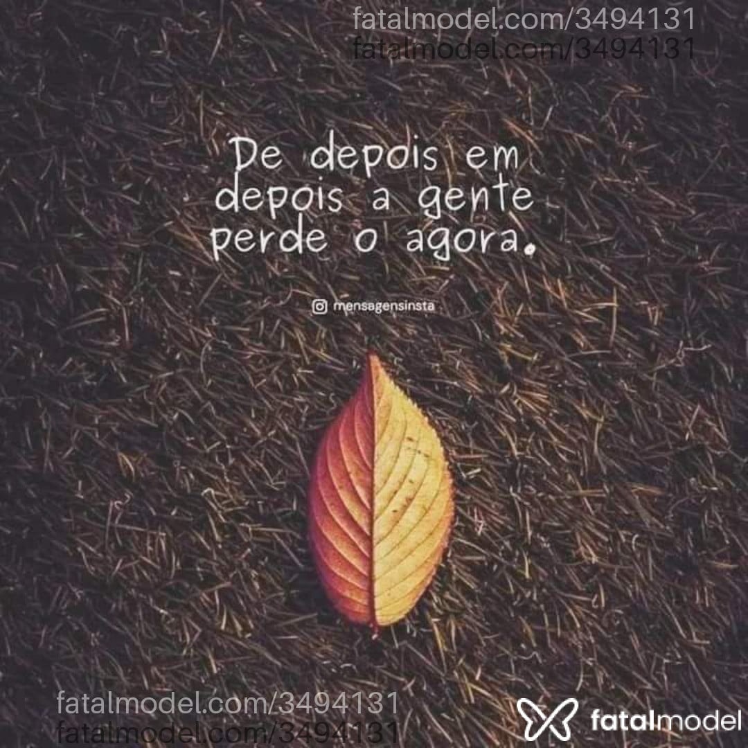 Acompanhante homem morena (o) de olhos pretos - Marcos