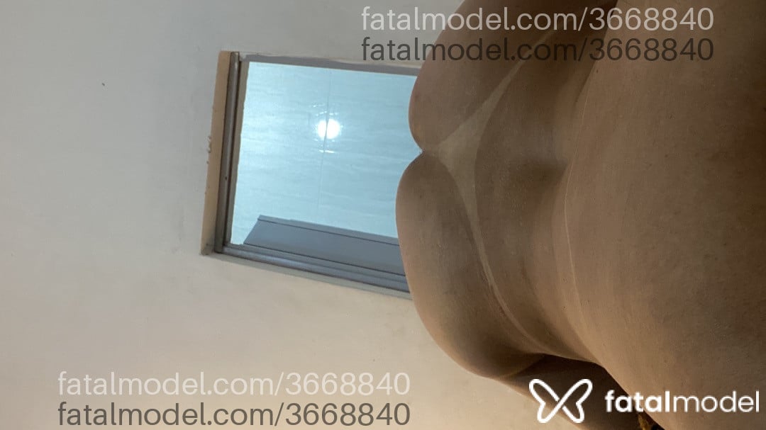 Acompanhante mulher trans com cabelo castanho de olhos castanhos - Eduarda