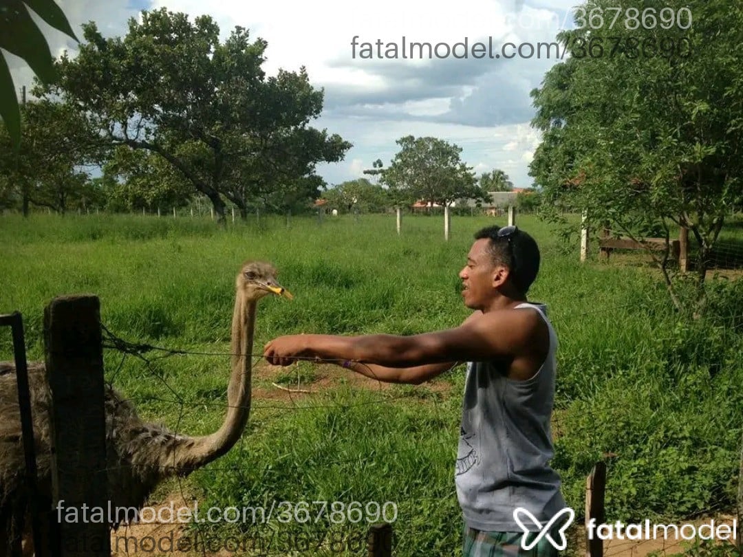 Imagem 6