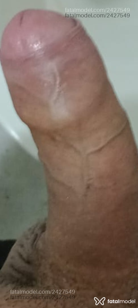 Acompanhante homem com cabelo castanho de olhos castanhos - Oliveira
