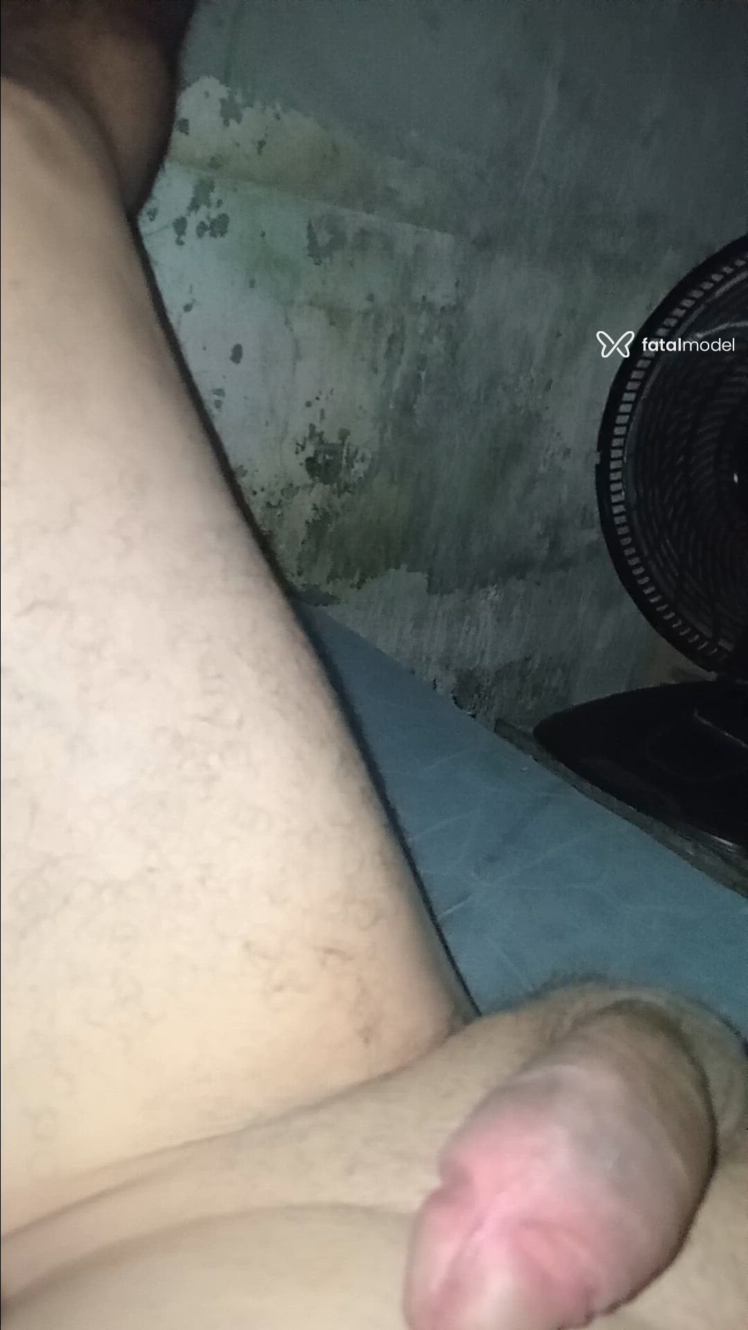 Vídeo 3