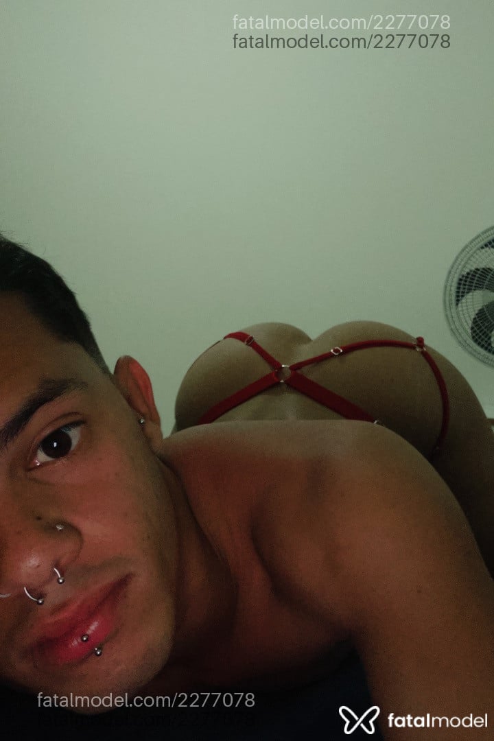 Imagem 1