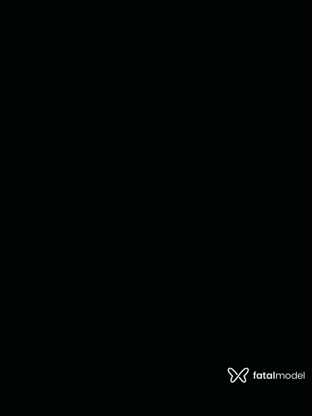 Vídeo 2