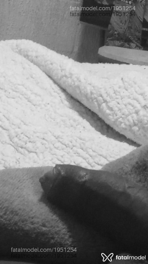 Acompanhante mulher trans morena (o) de olhos castanhos - Greyce