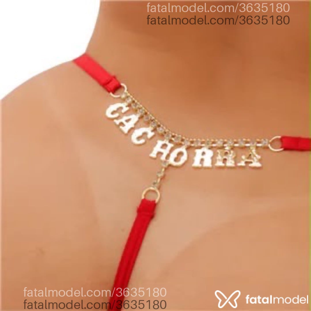 Imagem 1