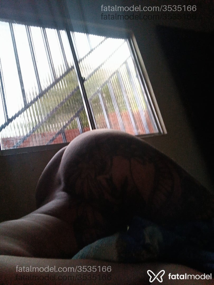 Imagem 3
