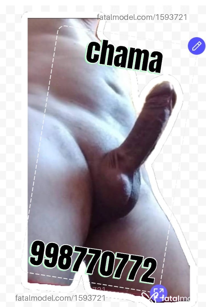 Imagem 3