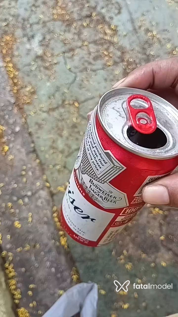 Vídeo 3
