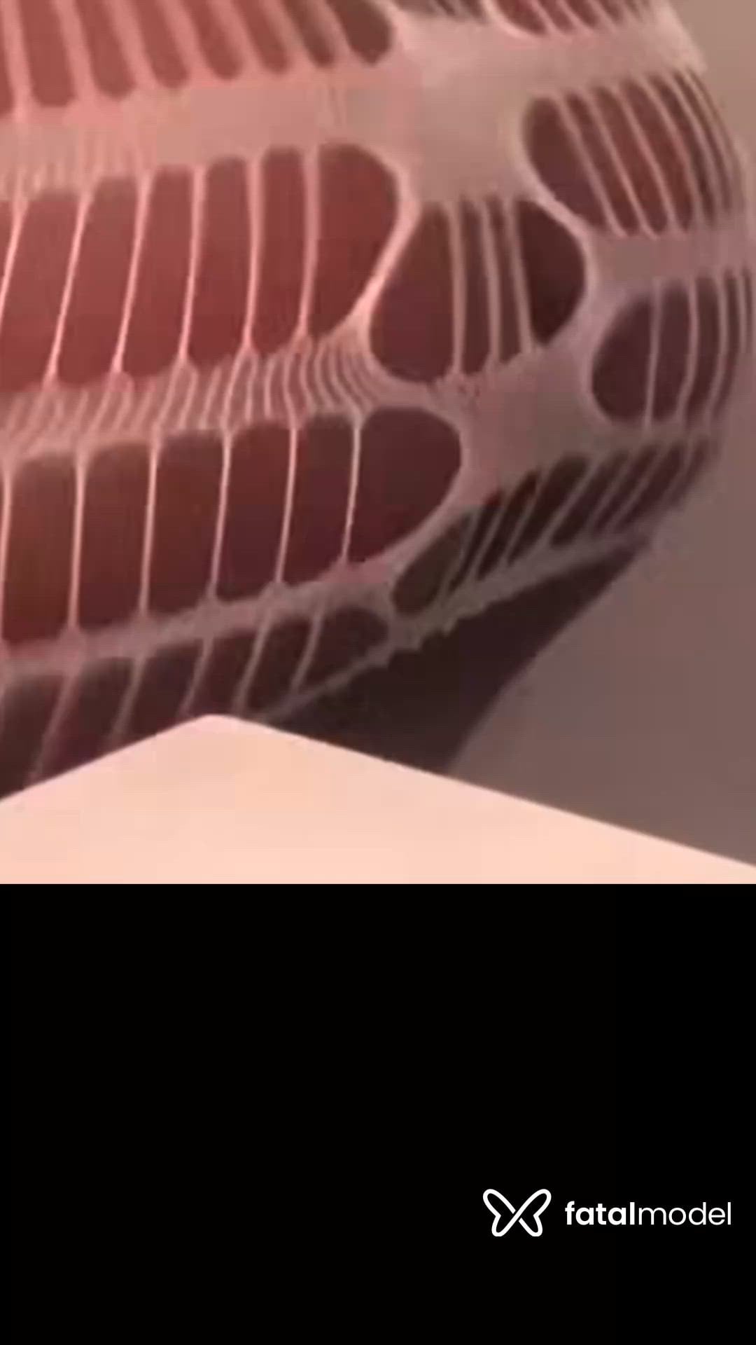Vídeo 5