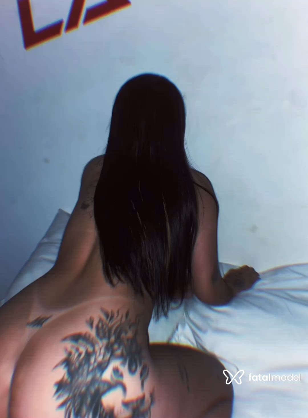 Vídeo 1