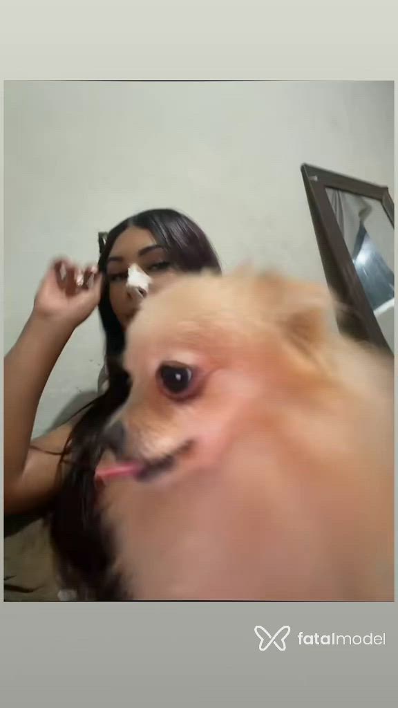 Vídeo 4