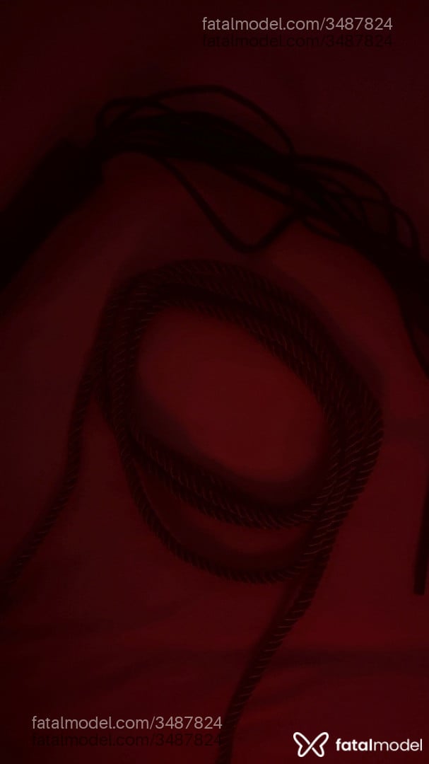 Imagem 3