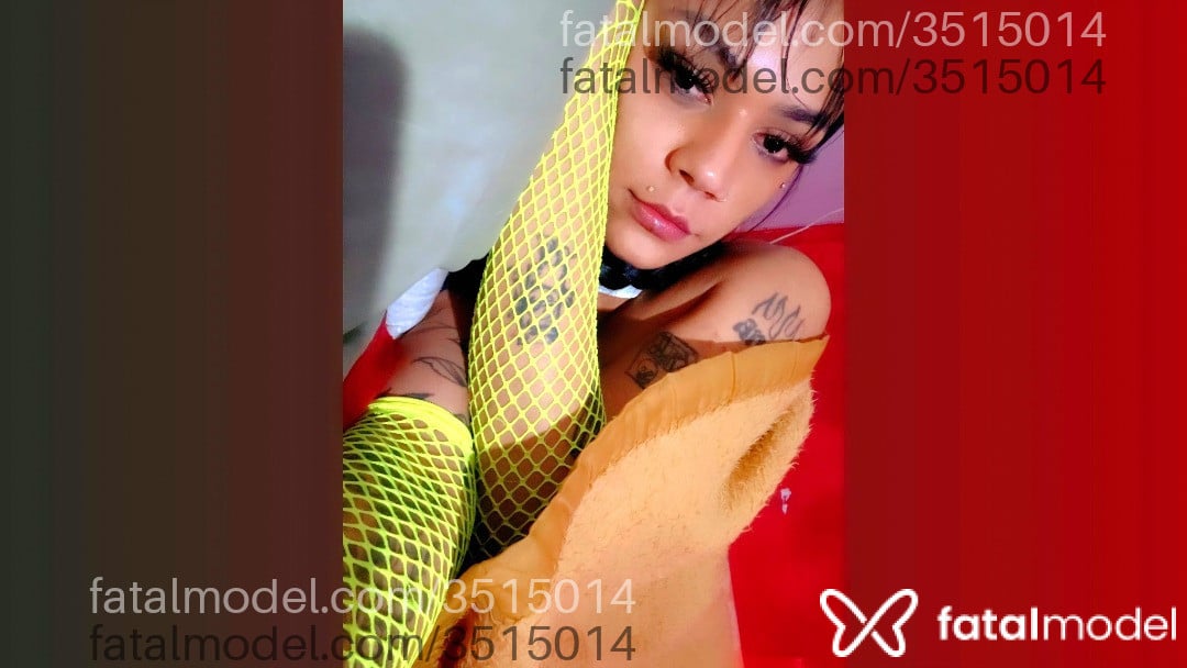 Imagem 7