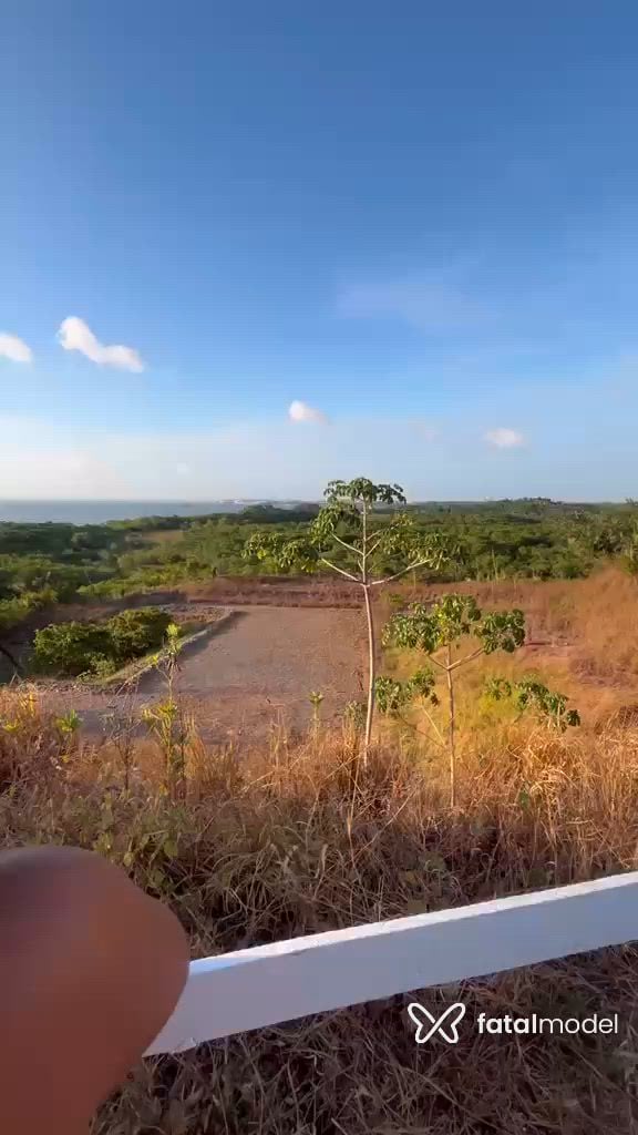 Vídeo 8