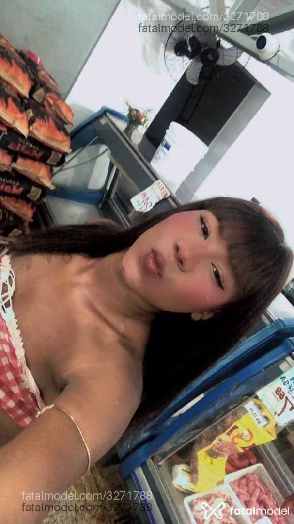 Acompanhante mulher trans morena (o) de olhos castanhos - Kauany