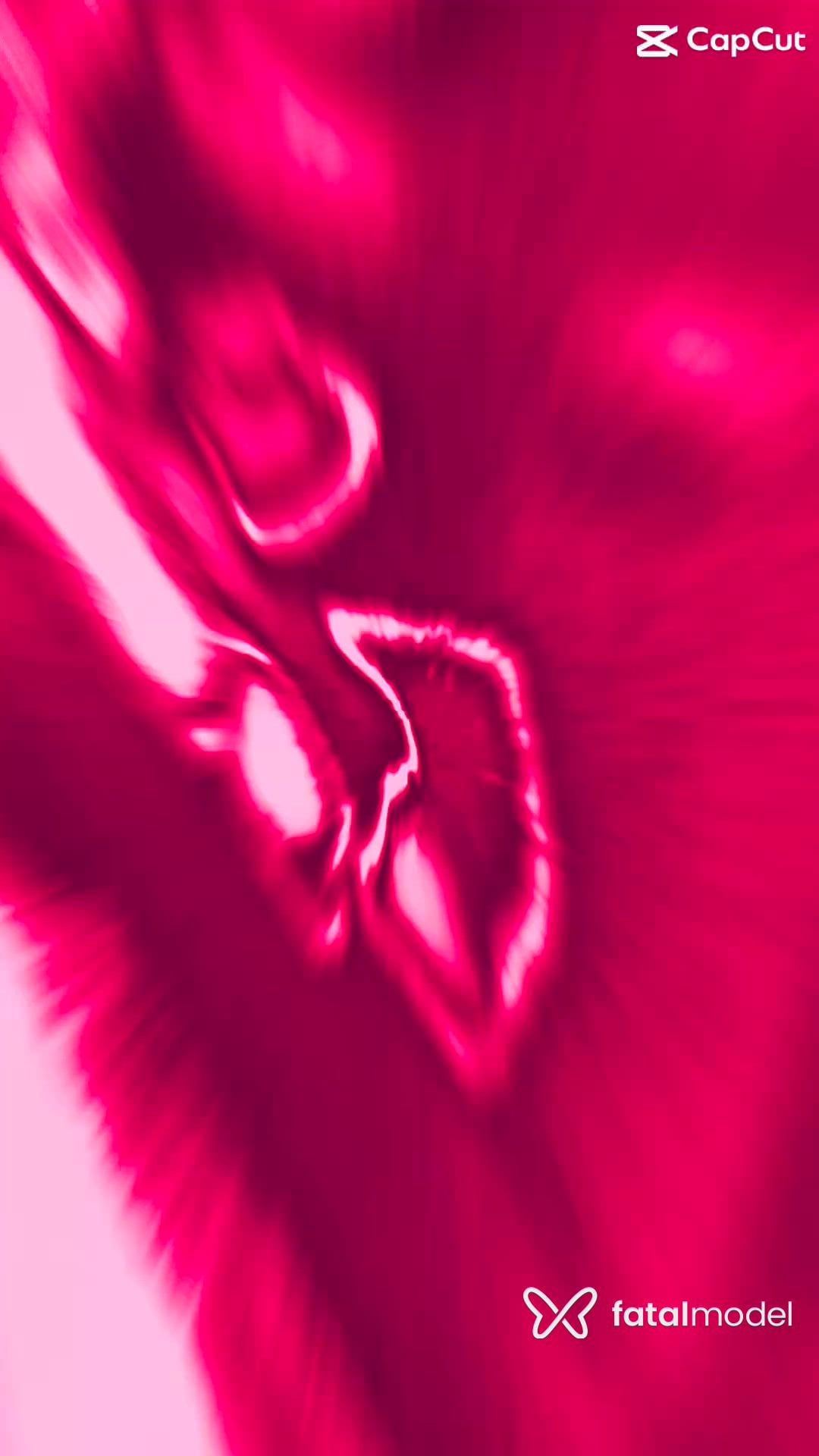 Vídeo 4