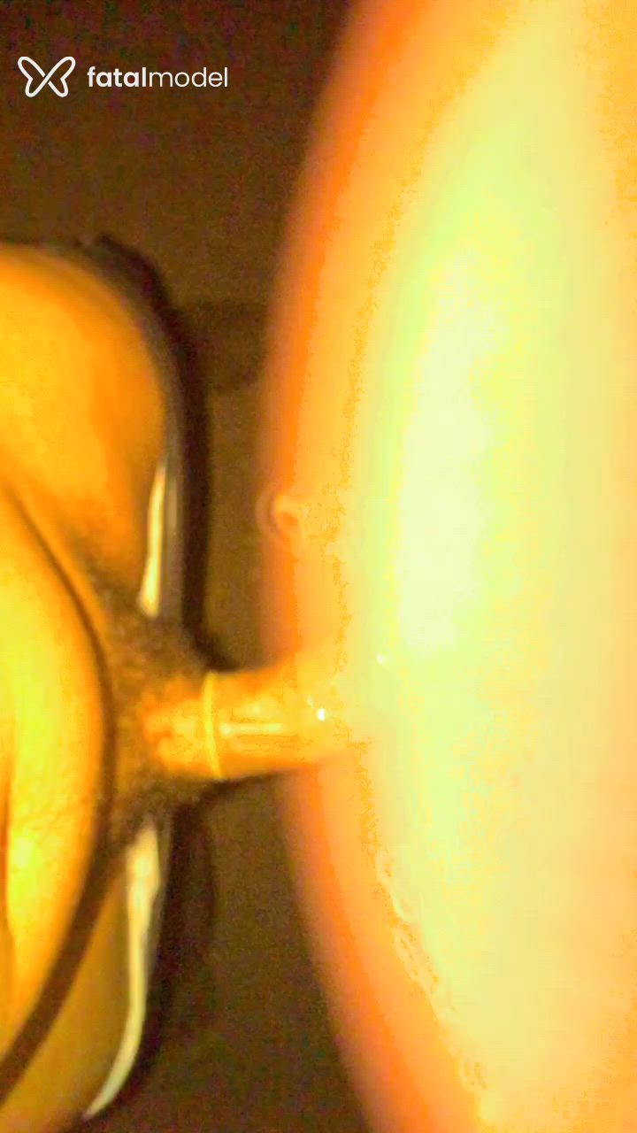 Acompanhante mulher trans morena (o) de olhos castanhos - Bruna