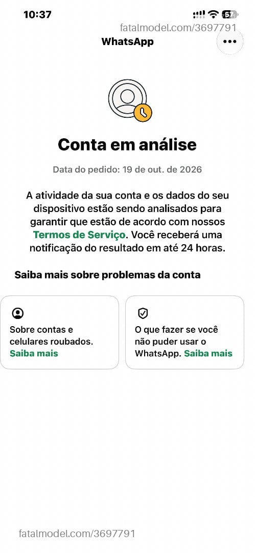Acompanhante mulher morena (o) de olhos mel - Leticia Acompanhante mulher morena (o) de olhos mel - Leticia