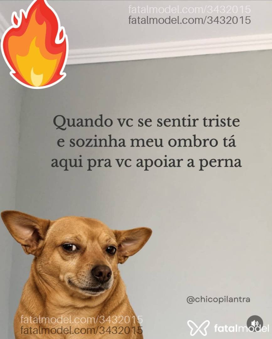 Acompanhante homem morena (o) de olhos pretos em Ouro Preto do Oeste - Marçal