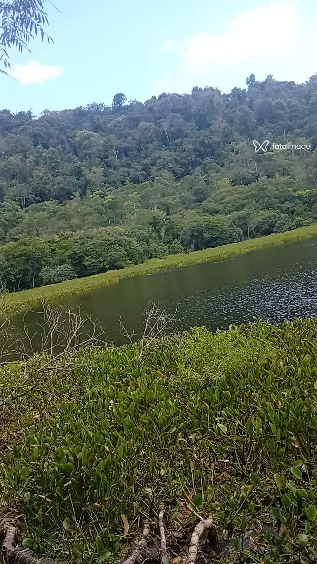 Vídeo 1