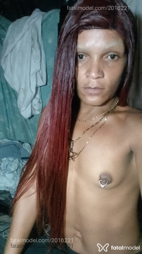 Imagem 7