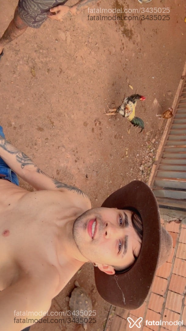 Imagem 3