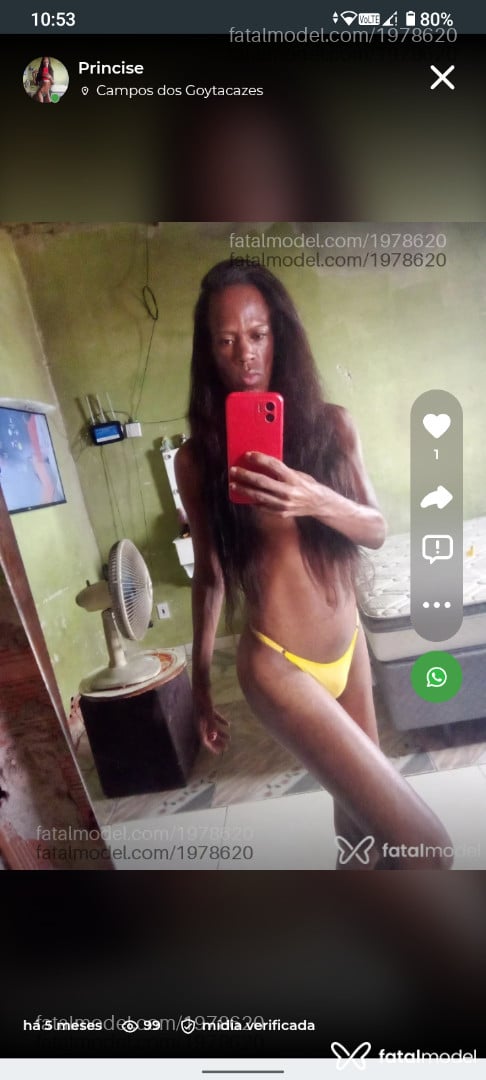 Acompanhante mulher trans com cabelo castanho de olhos castanhos - Princise