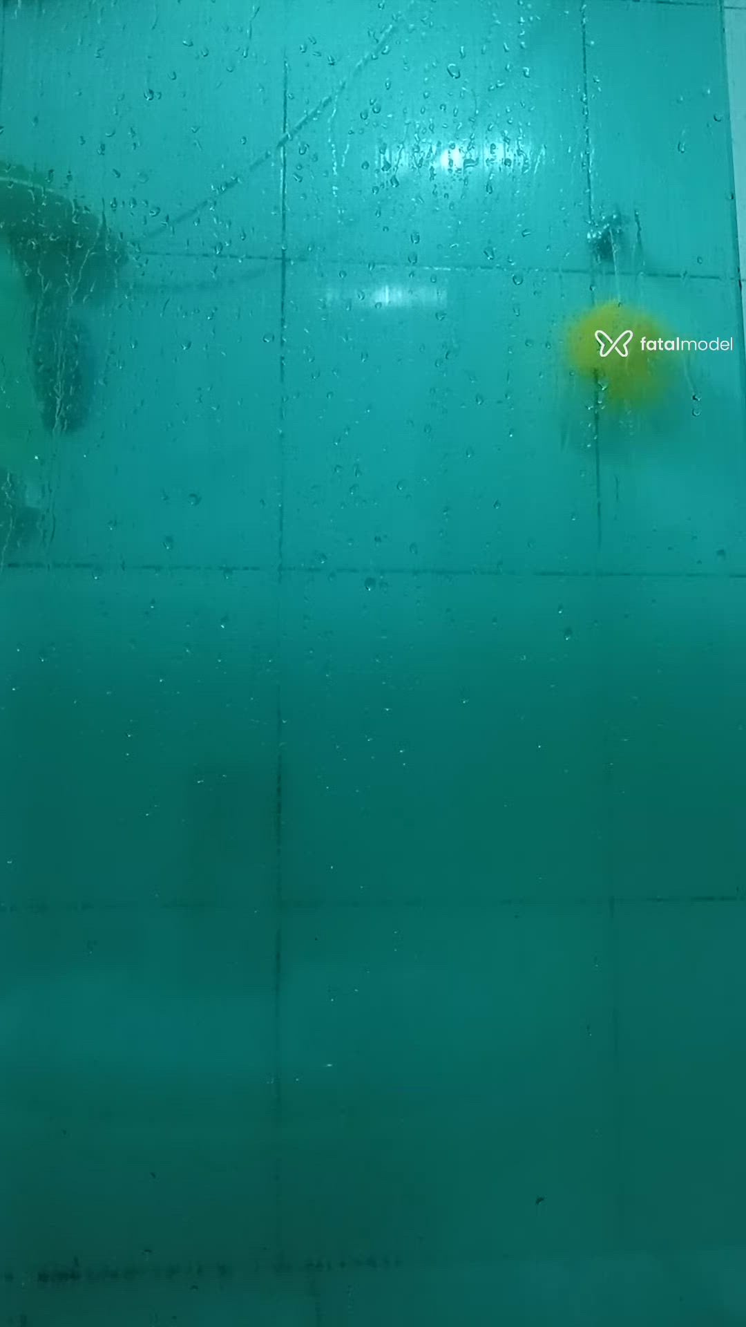 Vídeo 1