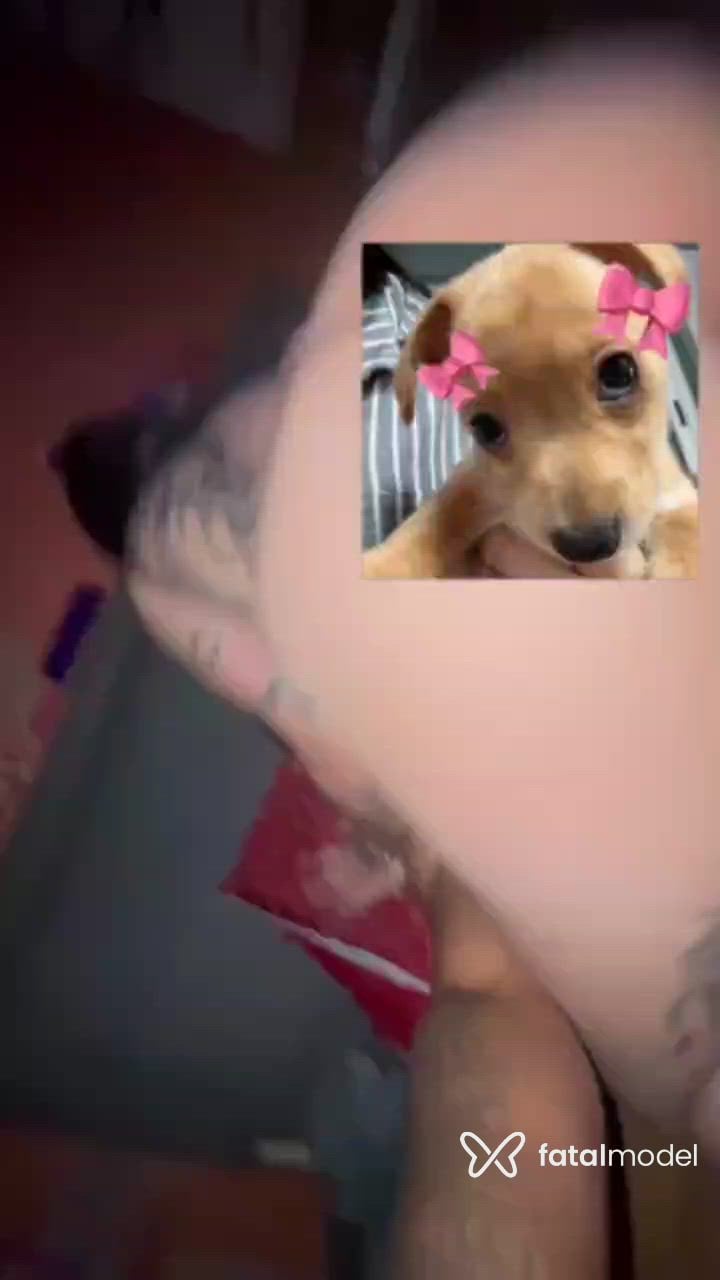 Vídeo 7