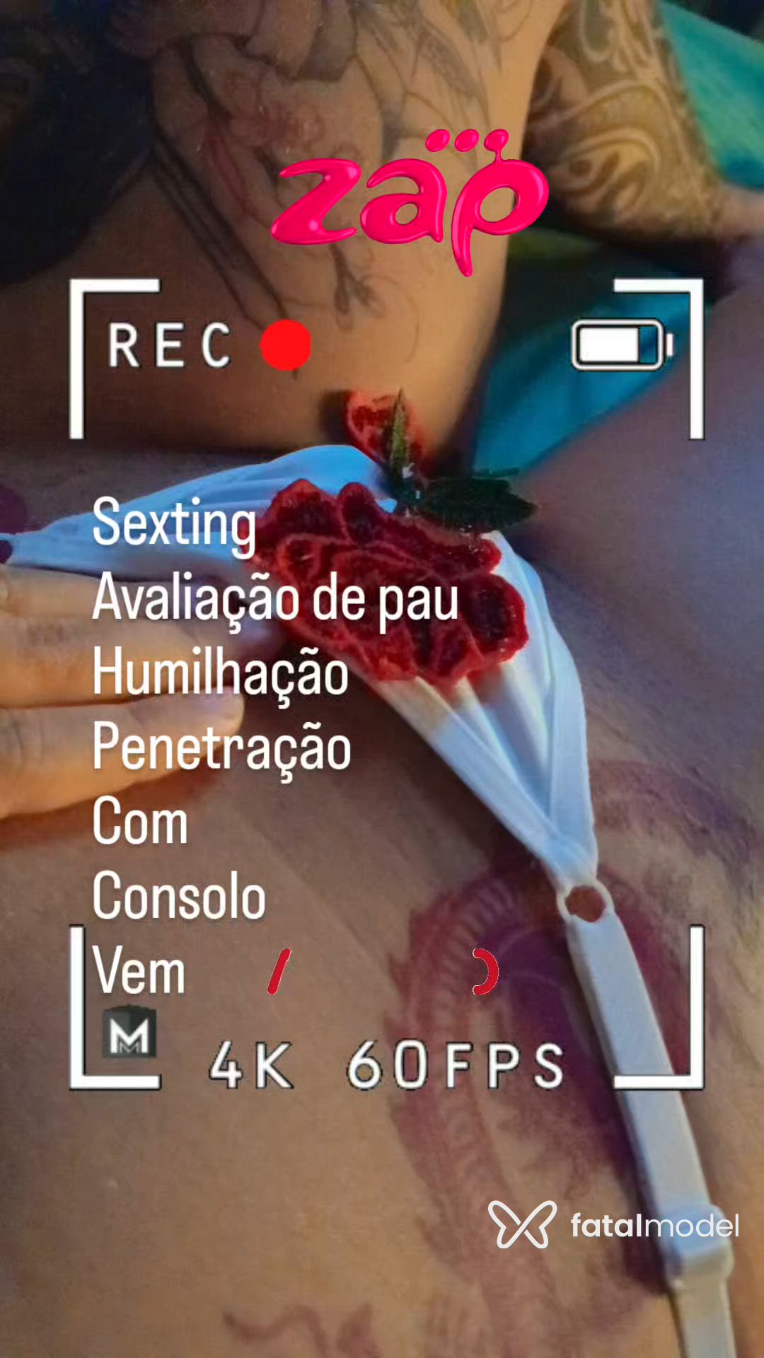 Vídeo 5