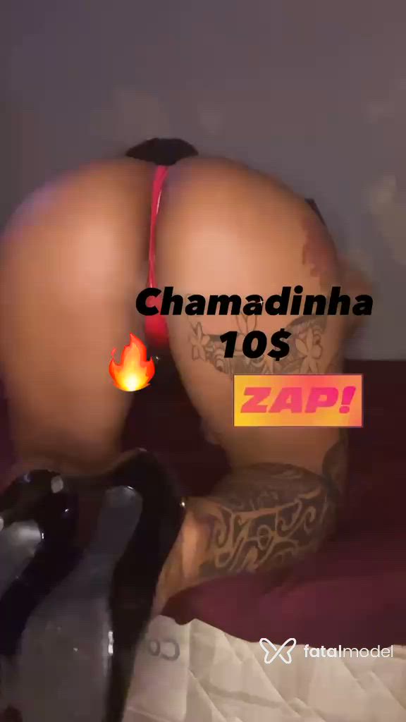 Acompanhante mulher morena (o) de olhos castanhos - Pity Artemísia