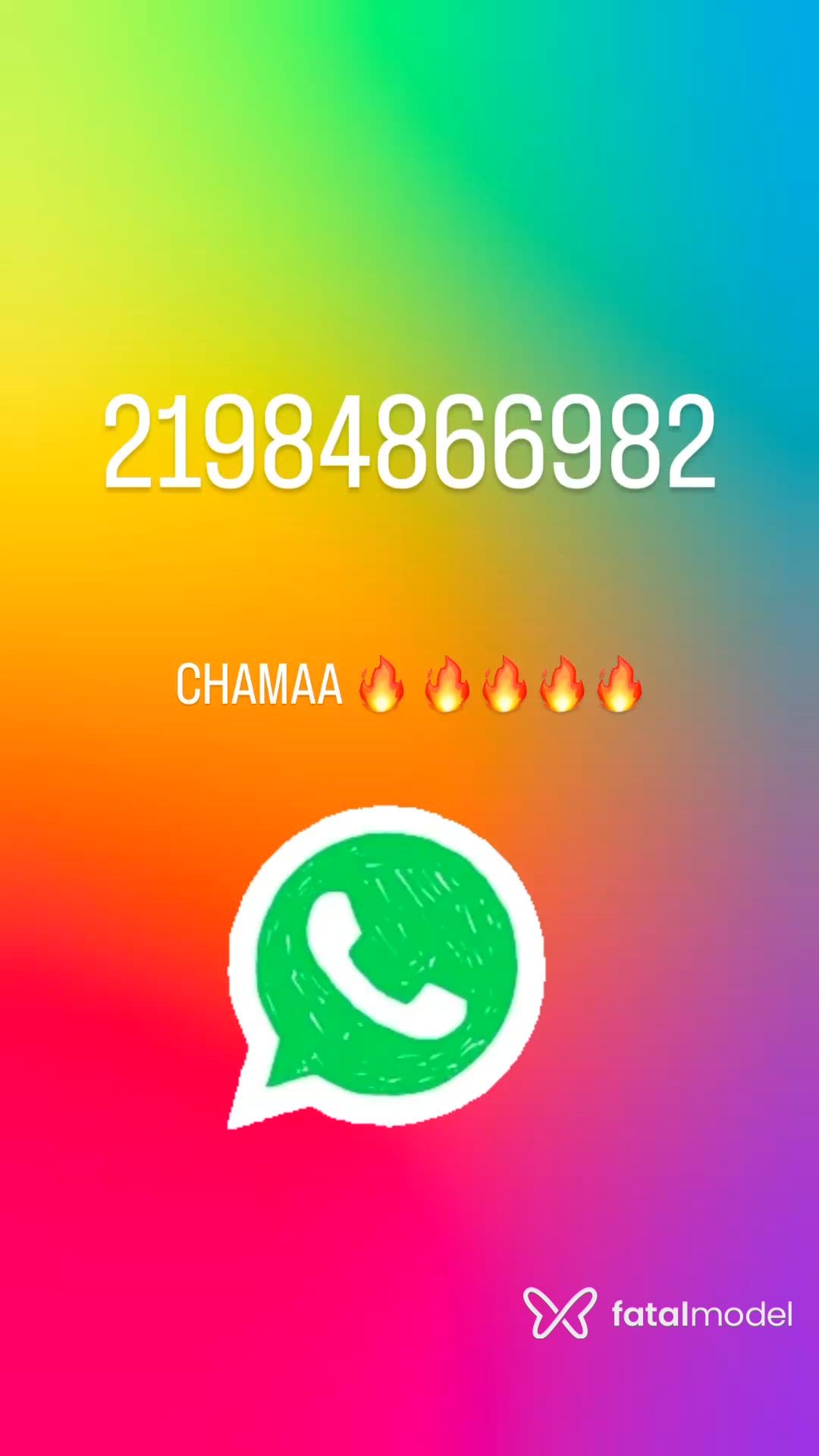 Vídeo 6