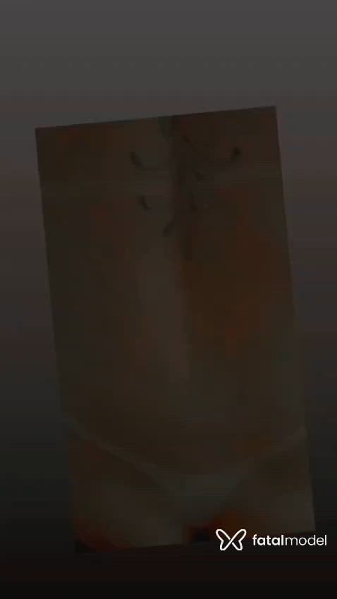 Vídeo 1