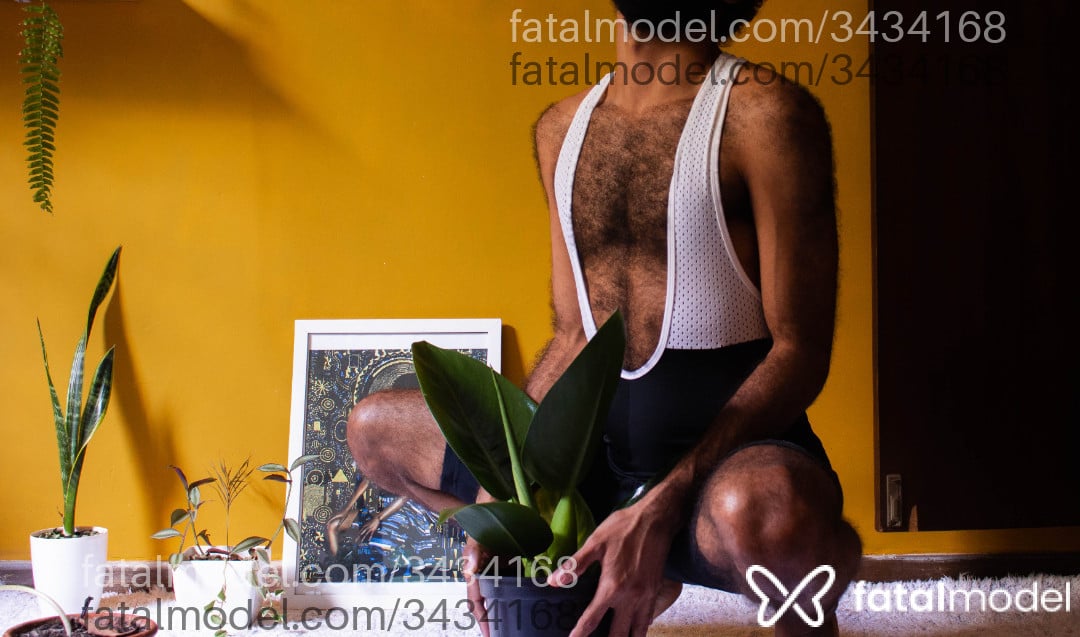 Imagem 1