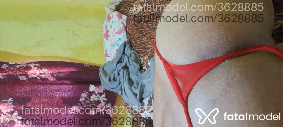 Imagem 12