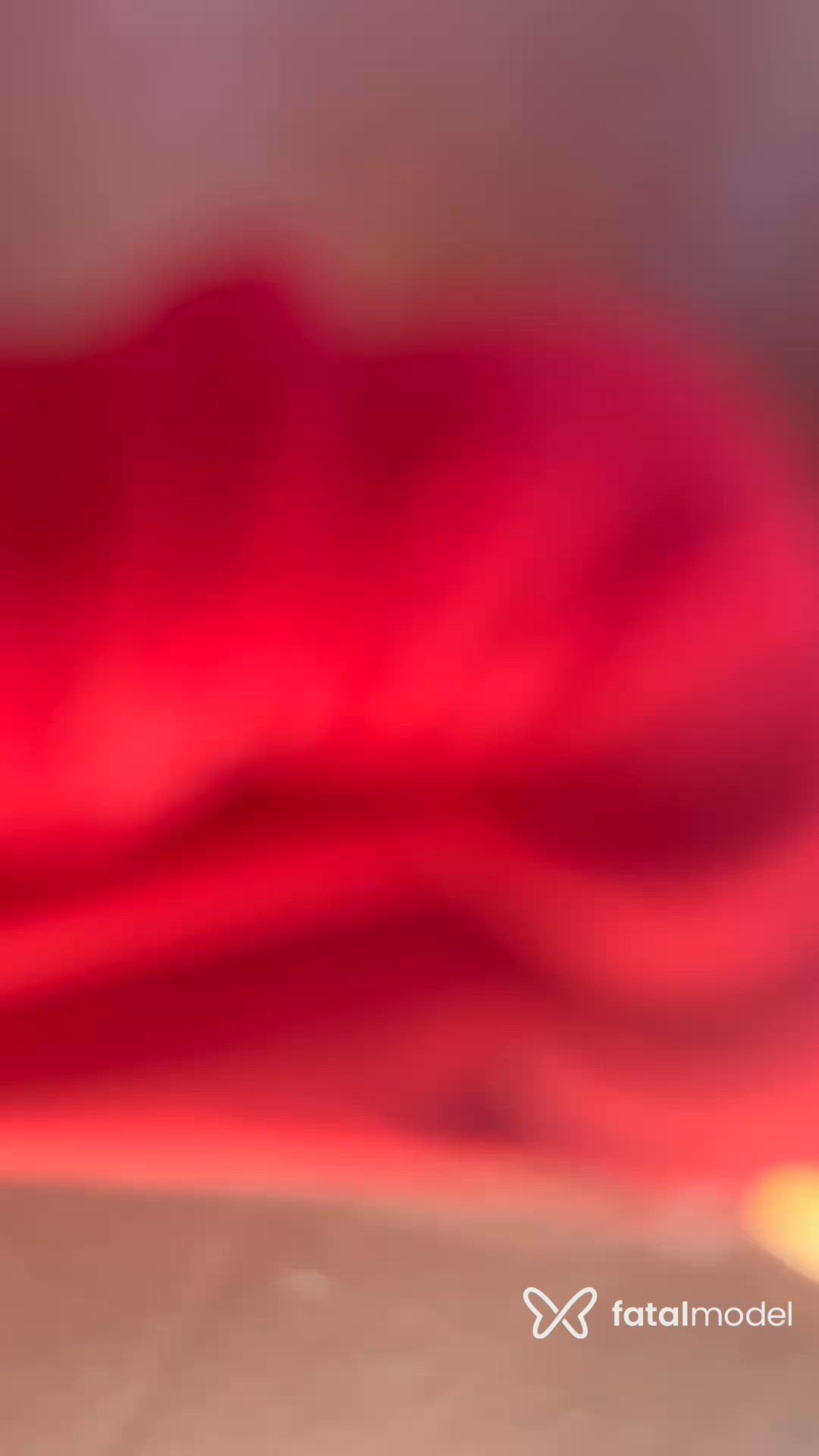 Vídeo 1