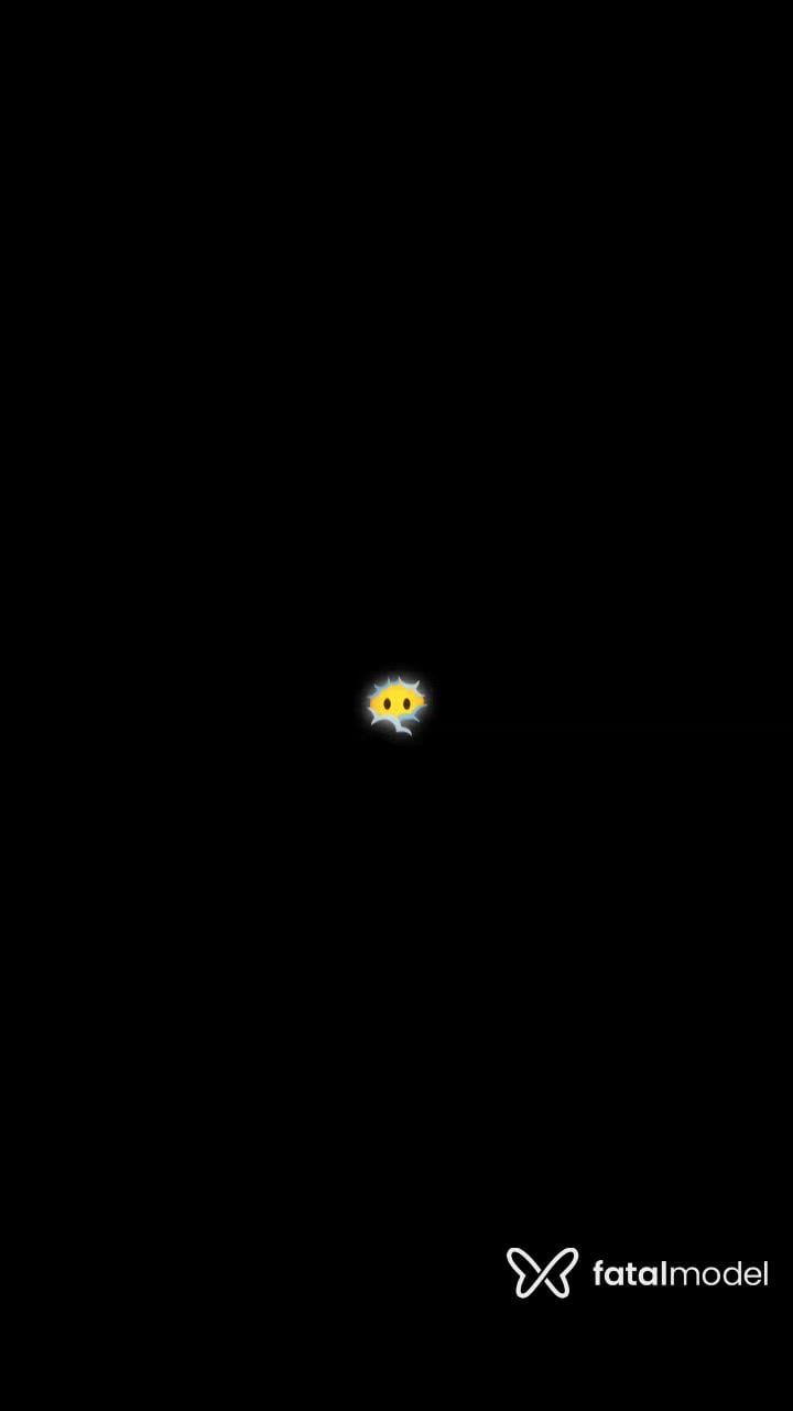 Vídeo 5