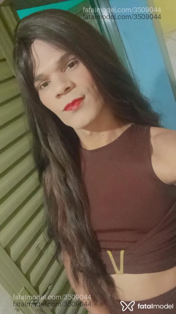 Imagem 2