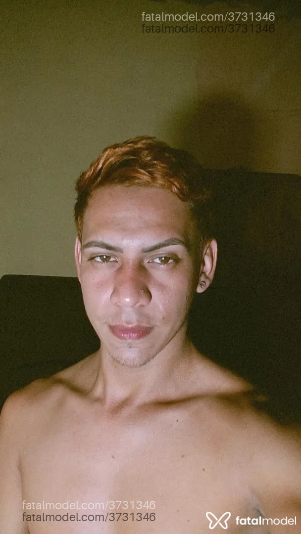 Imagem 4