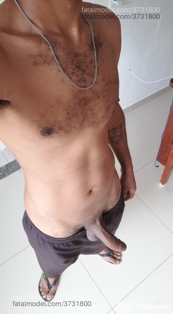 Imagem 3