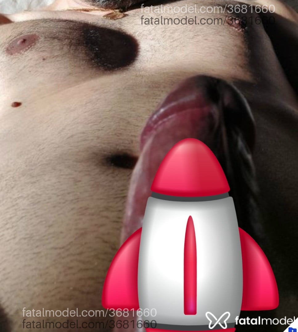 Imagem 5